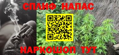 jwh Славгород