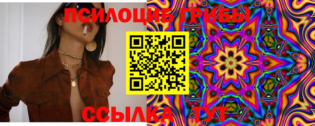 Псилоцибиновые грибы Cubensis  Вход с VPN  Новоуральск 
